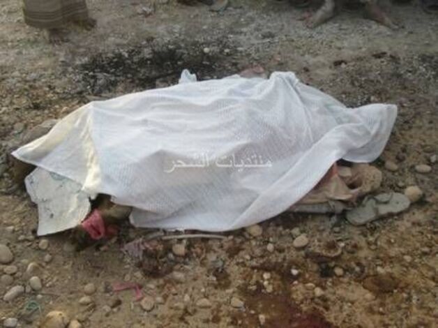عاجل : قتلى في صفوف القاعدة بغارة جوية امريكية على الشحر((صور))