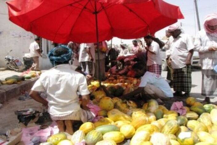 البطيخ المحلي فاكهة الصيف للأغنياء والفقراء بوادي حضرموت