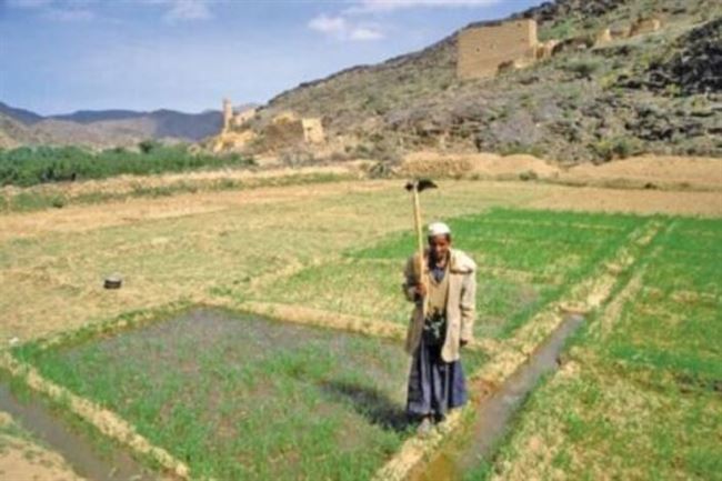 اليمن: قلق من تهريب المبيدات الزراعية المحظورة