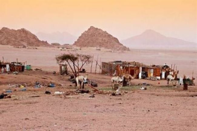 البدو في اليمن .. رحلة شاقة بحثا عن مقومات الحياة