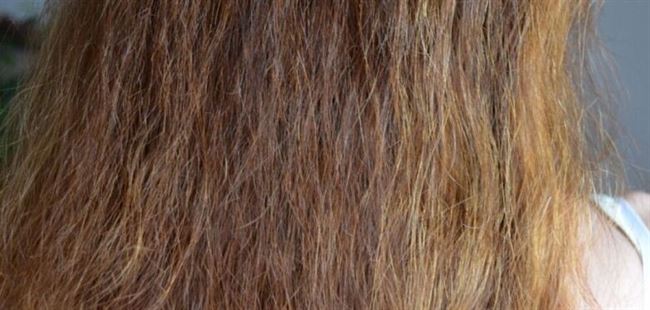 حلول طبيعية للتخلص من جفاف الشعر