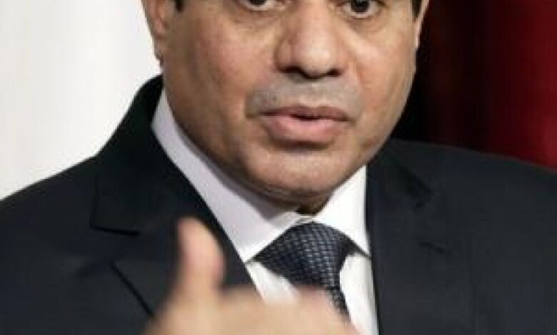 السيسي: مصر تخوض مواجهة طويلة وصعبة مع المتشددين