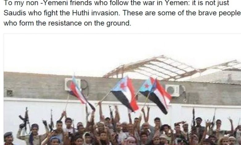 باحثة أوروبية شهيرة : ليس وحدهم السعوديون من يواجهون غزو الحوثيين بل هناك أناس شجعان يشكلون المقاومة على الأرض