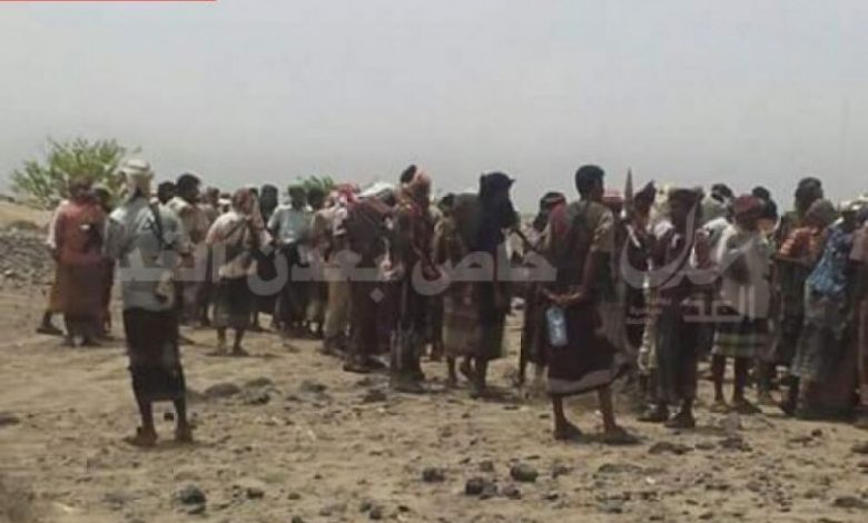 لاصحة لسيطرة الحوثيين على احور