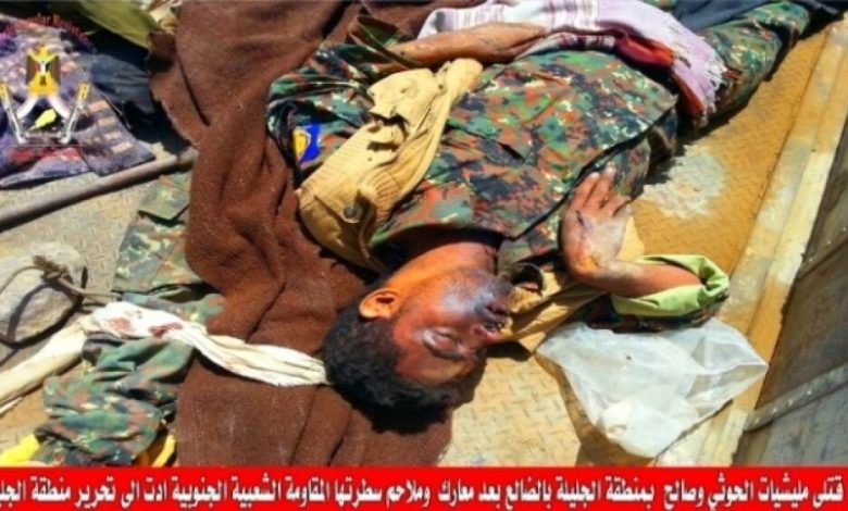 قتلى حوثيين في عملية تمشيط المقاومة لمدينة الضالع