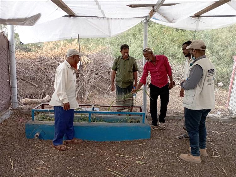 لحج..فريق من مركز الارشاد الزراعي والبيطري بتبن يتفقد مشاريع تربية الماشية في المديرية